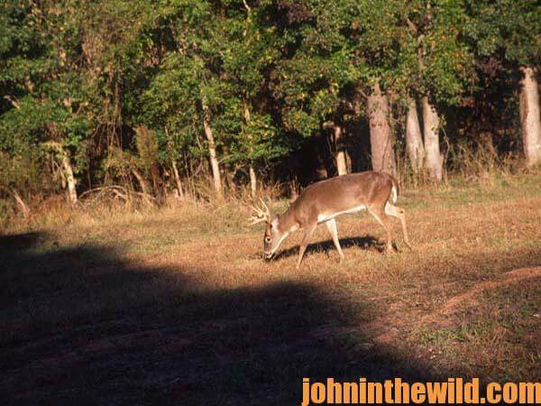 Become a Hunting Guide or Check Out University Holdings to Locate Big Buck Deer to Hunt - 3