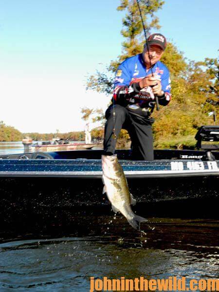 How Denny Brauer Fishes the Buzzbait for Bass in Cool Weather - 3