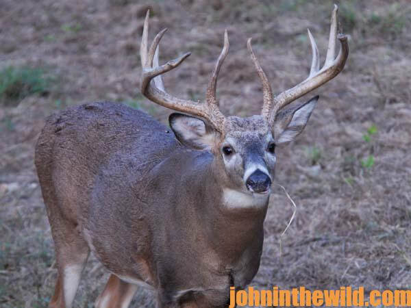 Warren “Punky” Rose, Videographer for the State of Missouri, Explains Videoing a Deer Hunt  - 2