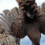 Turkey Hunting with Cristie Gates – A Huge Adrenaline Rush 