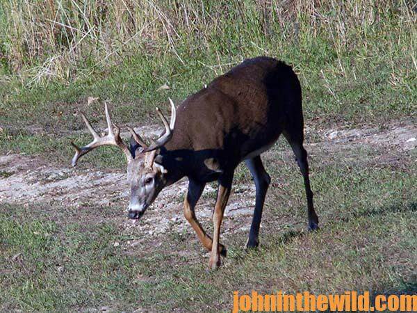 Bowhunter’s Deer Quiz Part 3 with Outdoor Writer John E. Phillips 12