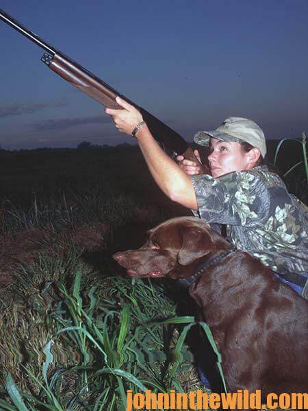 Dove Hunting Accessories 07