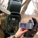 David Hale Uses Cameras to Identify Predators on His Property and the Effect of Moon Phase on Deer