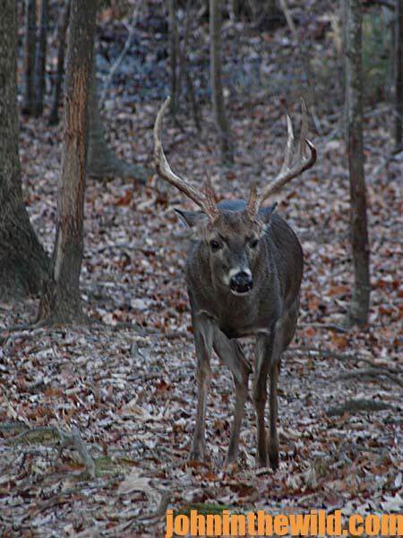 14 Hunt Big Michigan Deer