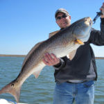 Identifying the Best Live Bait for Speckled Trout and Redfish