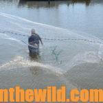 Use Cast Nets to Catch Bait and Fish for Fun and Money Day 1: Cast Nets and How They Help You Catch Fish and Bait Fish