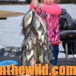 Do It Yourself Fishing Lures Day 3: Why Fish with Chewing Gum Wrapper Jigs to Catch Crappie