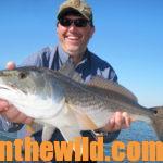 How to Catch August’s Inshore and Offshore Saltwater Fish Day 3: Use Live Bait for Speckled Trout and Redfish
