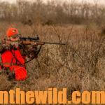 Silent Stalking for Deer Helps You Take More Bucks Day 4: Stalking Hills for Buck Deer