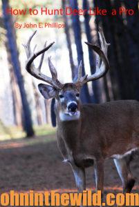 How to Hunt Deer Like a Pro
