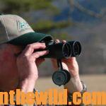 Travis Walton Takes Pandemic Turkey Gobblers Day 5: What Travis Walton Learned about Hunting Public Land Turkeys