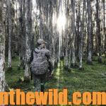 Hunting Public Lands for Turkeys Day 5: Knowing the Best Equipment for Hunting Turkeys and Why to Hunt Public Lands