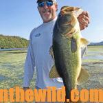 Carolina Justice – a New Custom Bass Lure Maker Day 2: Bass Guide Mike Carter Gives a Report on Lip Rippin’ Lures