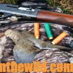 Secrets for Taking More Doves Day 5: Know Dove Hunting Must Haves