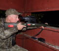 A hunter patiently waits in a blind for a shot at taking a wild pig