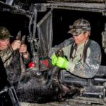 Hunting McKenna Ranch’s Nighttime Wild Hogs Day 4: Michael Jones’ Nighttime Wild Hog Hunt