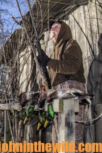 A hunter patiently waits for a shot at a flock of ducks just outside his blind