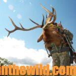 Where Elk Are Today in the East Day 1: Elk Today – Arkansas, Kentucky & Michigan