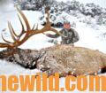 Mike Lee and an elk in the snow