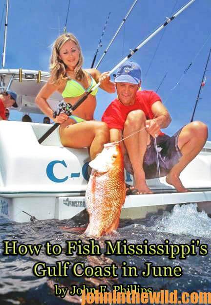 how-to-fish-mississippis-gulf-coast-in-june