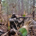 How to Select Calls for Turkey Hunting