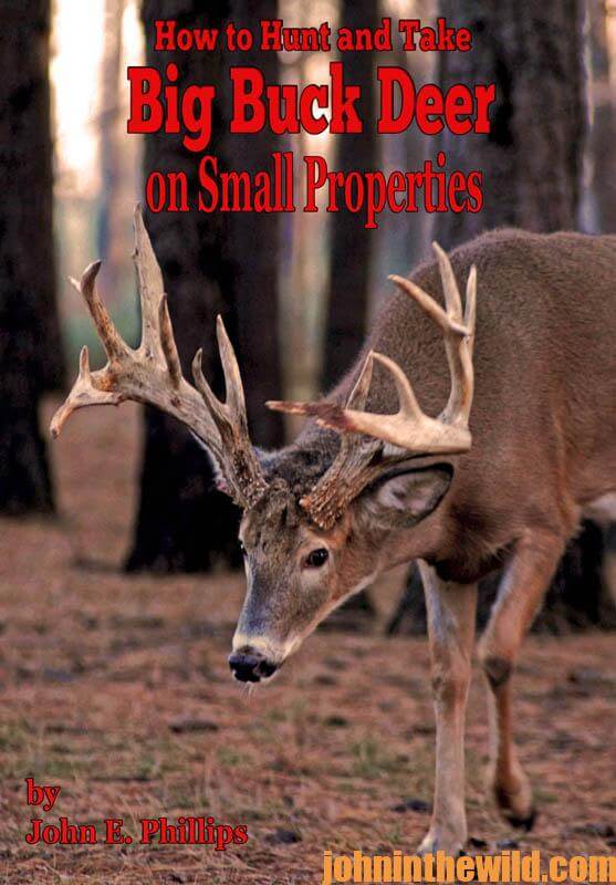 hunt-and-take-big-buck-deer-on-small-properties