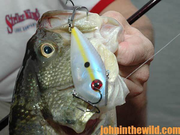 Keep Your Bass Fishing Simple with Jimmy Houston - John In The