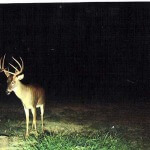 Learn What the Landowner Needs and Offer to Provide Those Services for Him to Have Lands to Hunt Deer