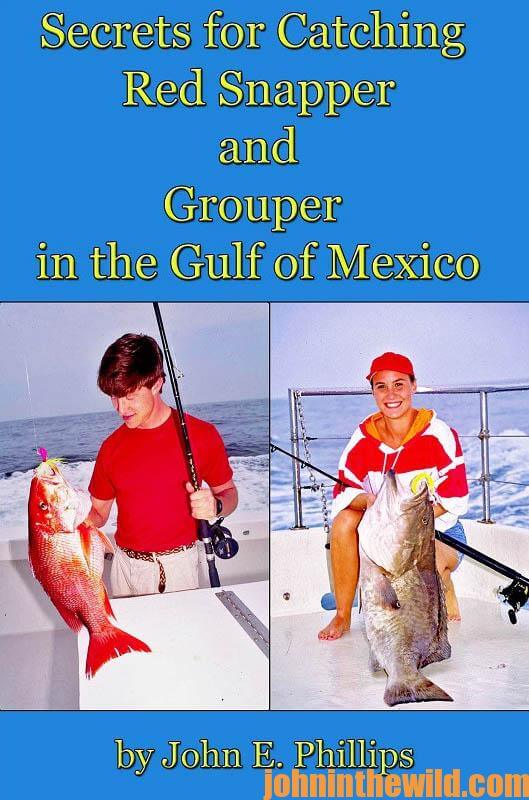 secrets-for-catching-red-snapper-and-grouper