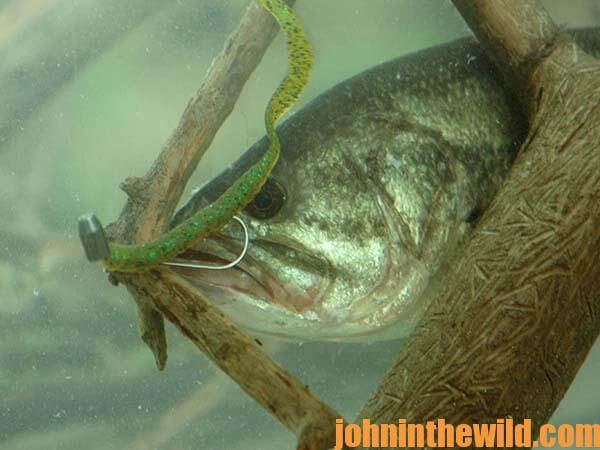 Using The Flipping Worm for Catching Bass with Gary Klein - John
