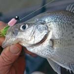 Whitey Outlaw on Fishing Stumps, Trees and Brush Piles with a Jigging Pole for Crappie