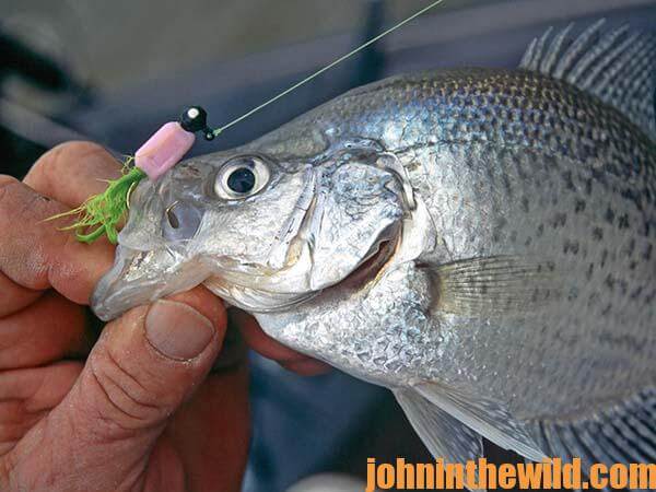 Building Stake Beds Where There's No Crappie or Cover and Why Fish  Attractors Sometimes Don't Work with Guide Steve McCadams - John In The  WildJohn In The Wild