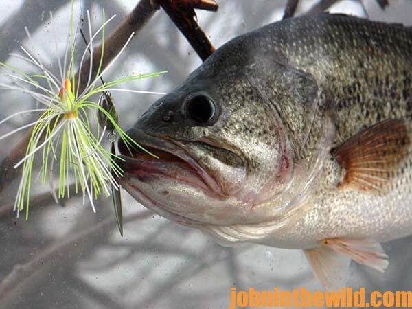 What Tackle You Need to Belly Boat Fish for Bass - John In The WildJohn In  The Wild