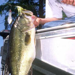 Bass Fishing Ideas from Outdoor Writer John E. Phillips to Catch More Bass