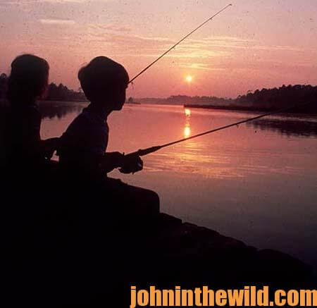 Tricks to Using Set Poles for Catching Creekbank Catfish - John In The  WildJohn In The Wild