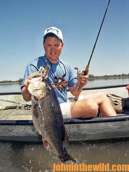 Jimmy Houston's hot spinnerbait tricks - Bassmaster