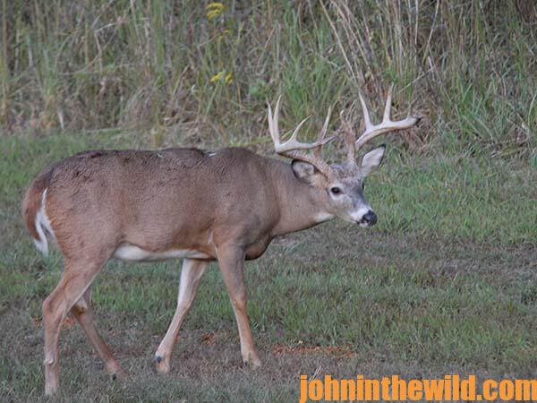 Bowhunter’s Deer Quiz Part 2 with Outdoor Writer John E. Phillips 08