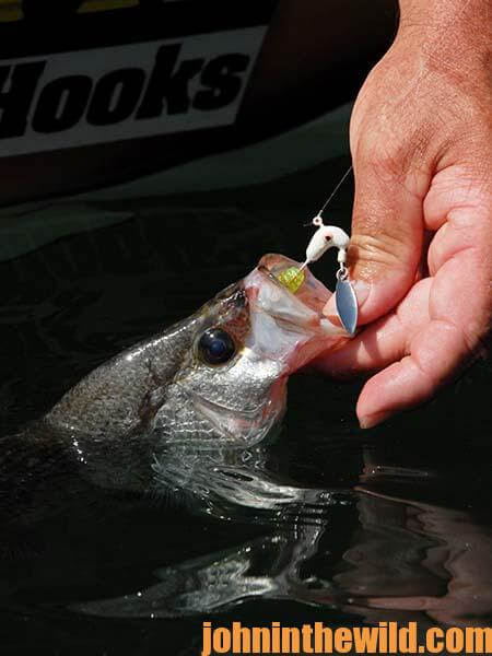 Tackle and Equipment for Catching Crappie in the Summer by John E