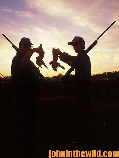 Dove Shooting Strategies and Situations 19
