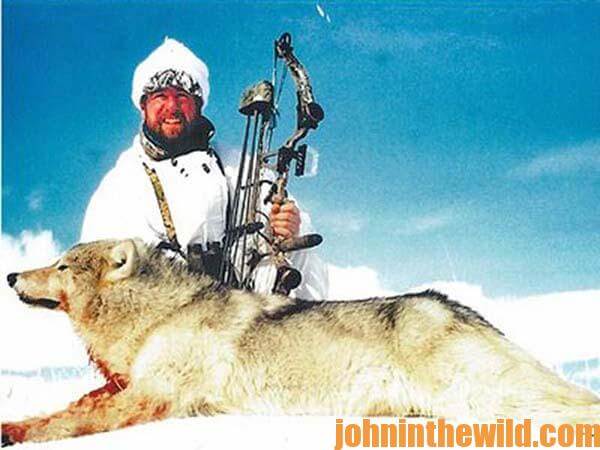 Mike Deschamps Bowhunts Arctic Wolves and Polar Bears 01