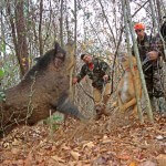 More about the Spear Hunt for Wild Boars