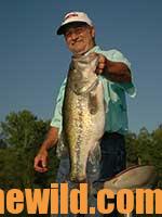 Texas Rigged and Do Nothing Plastic Worms for Catching Bass - John In The  WildJohn In The Wild
