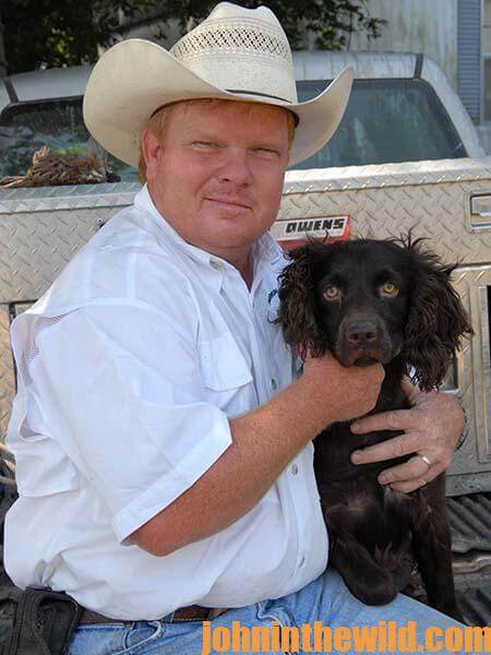 Three Key Ingredients to Look for when Purchasing a Bird Dog to Hunt Quail 12