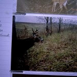 What a Hunter Can Learn After Deer Season