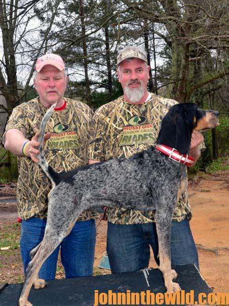 Bluetick hunting sale