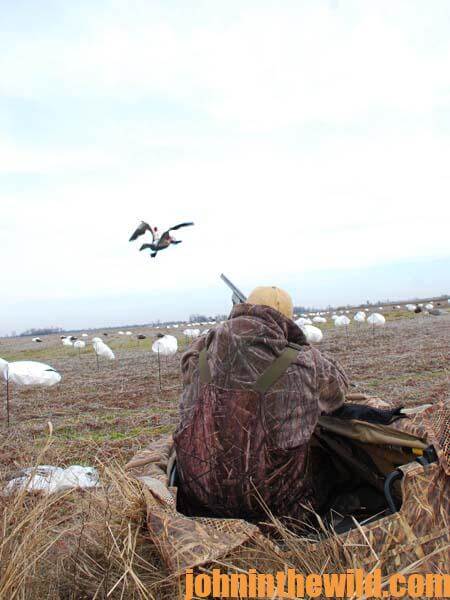 Snow Goose Hunting As Good As It Gets with John Gordon 1