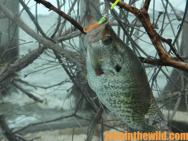 Fish Underwater Roads to More Crappie at Any Time of Year - John