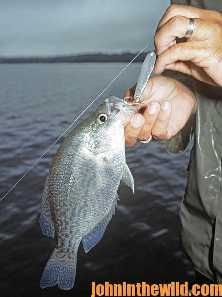 When Crappie Are at Their Deepest Use a Bass Technique to Catch Them 1