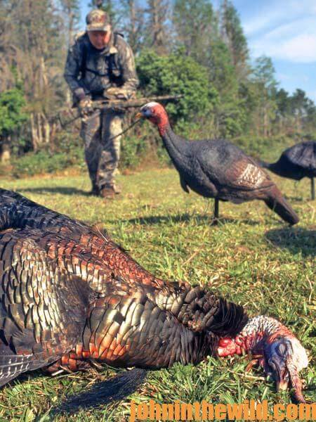 More of Eddie Salter’s Most Frequently Asked Questions about Turkey Hunting 4