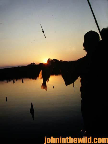 Learn When to Fish for Crappie at Night 2